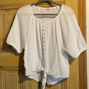 Lightspun Cotton beachlunchlounge Shirt